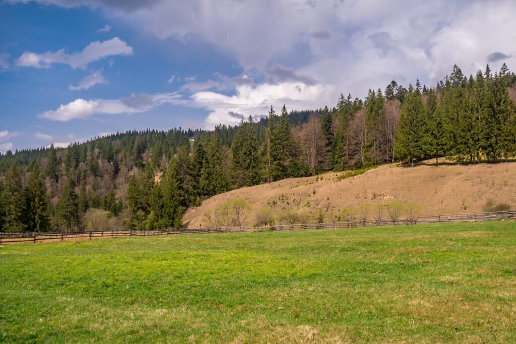 Фотоотчет о путешествии в Карпаты с фотоаппаратом Lumix GX8 - 02