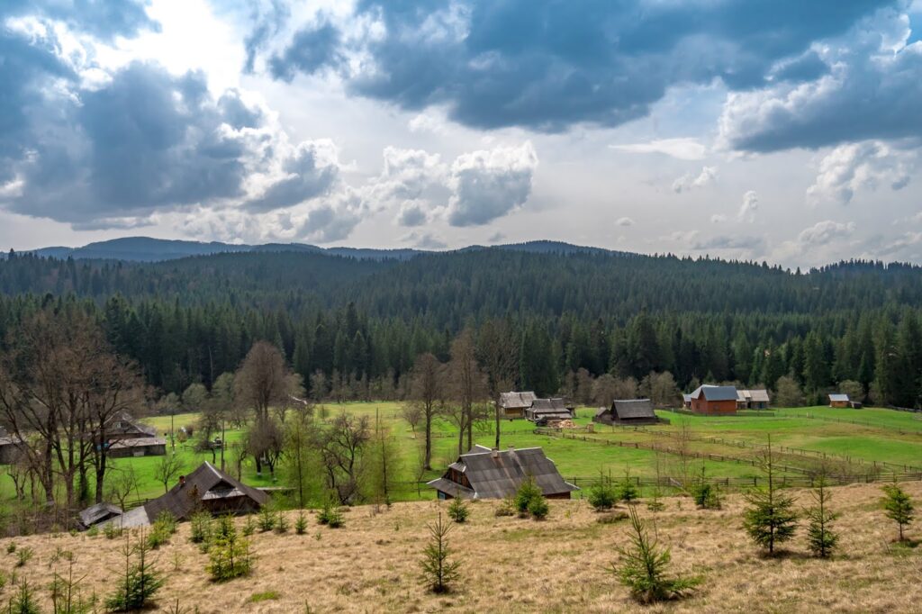 Фотоотчет о путешествии в Карпаты с фотоаппаратом Lumix GX8 - 03