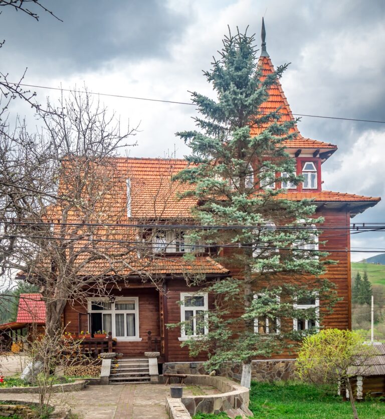 Фотоотчет о путешествии в Карпаты с фотоаппаратом Lumix GX8 - 08