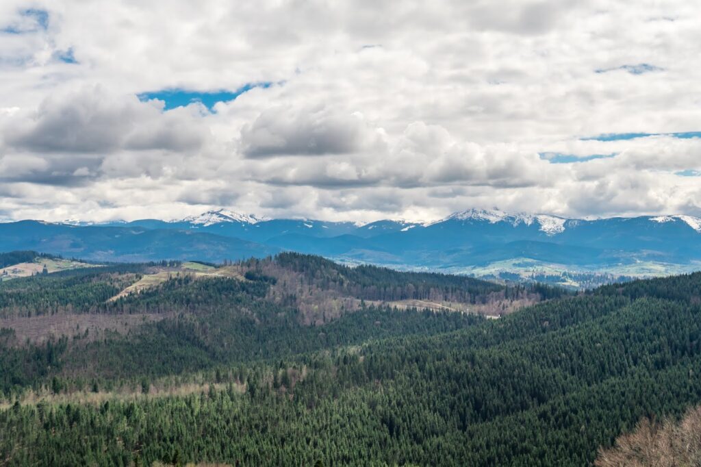 Фотоотчет о путешествии в Карпаты с фотоаппаратом Lumix GX8 - 57