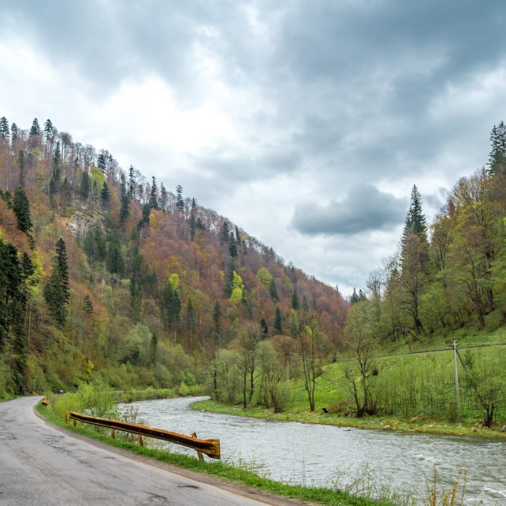 Фотоотчет о путешествии в Карпаты с фотоаппаратом Lumix GX8 - 83 - вид на дорогу на Ясиня около водопада Труфанец