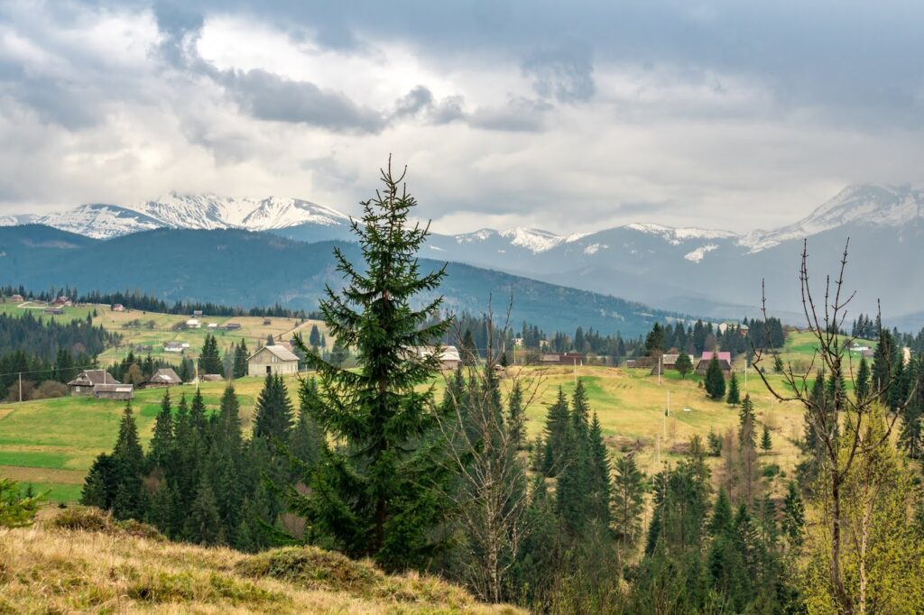 Фотоотчет о путешествии в Карпаты с фотоаппаратом Lumix GX8 - 93 - Вид на горы Говерла и Петрос с полонины Перцы